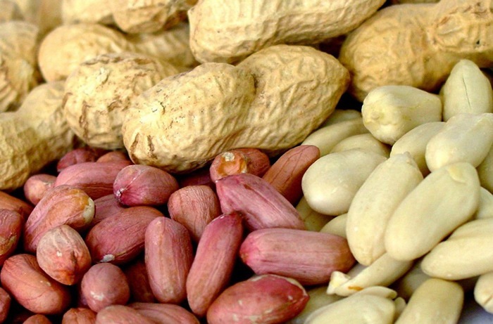 Полезные свойства арахиса для организма человека
