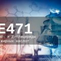 Опасен или нет эмульгатор E471 для организма человека