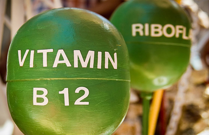 Польза и вред витамина B12 для организма человека