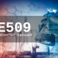 Пищевая добавка Е509 — опасна или нет