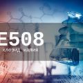 Пищевая добавка Е508 — опасна или нет