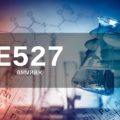 Пищевая добавка Е527 — опасна или нет