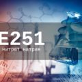 Пищевая добавка Е251 — опасна или нет