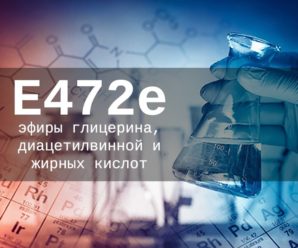 Пищевая добавка Е472е — опасна или нет