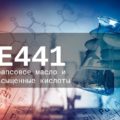 Вреден ли эмульгатор Е441 для организма